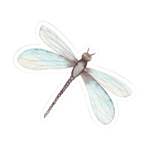 dragonfly